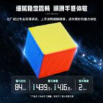 17470293069C1